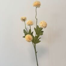 �羳5�^С���С�[��W�t�ҾӔ[���b�С������ռٻ����滨��