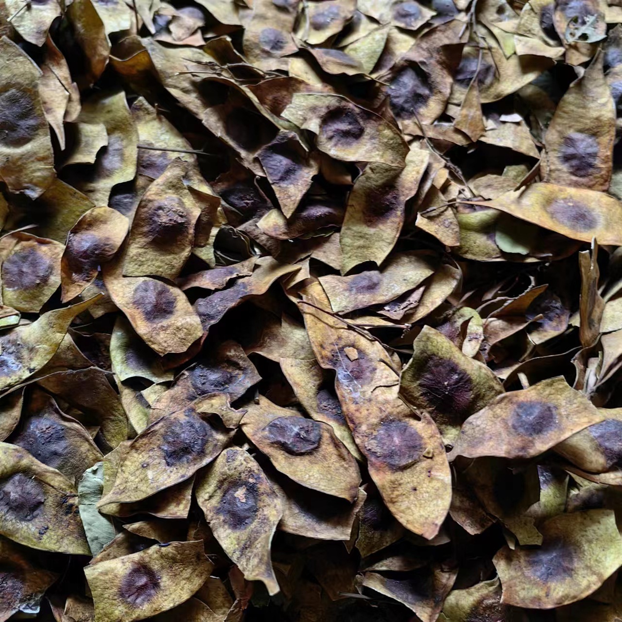 微信图片_20231031160520