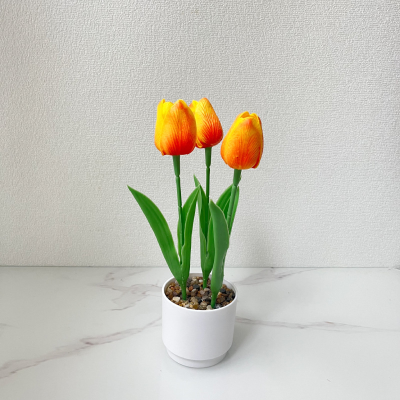 선셋 레드 (높이 25*가로 10cm)