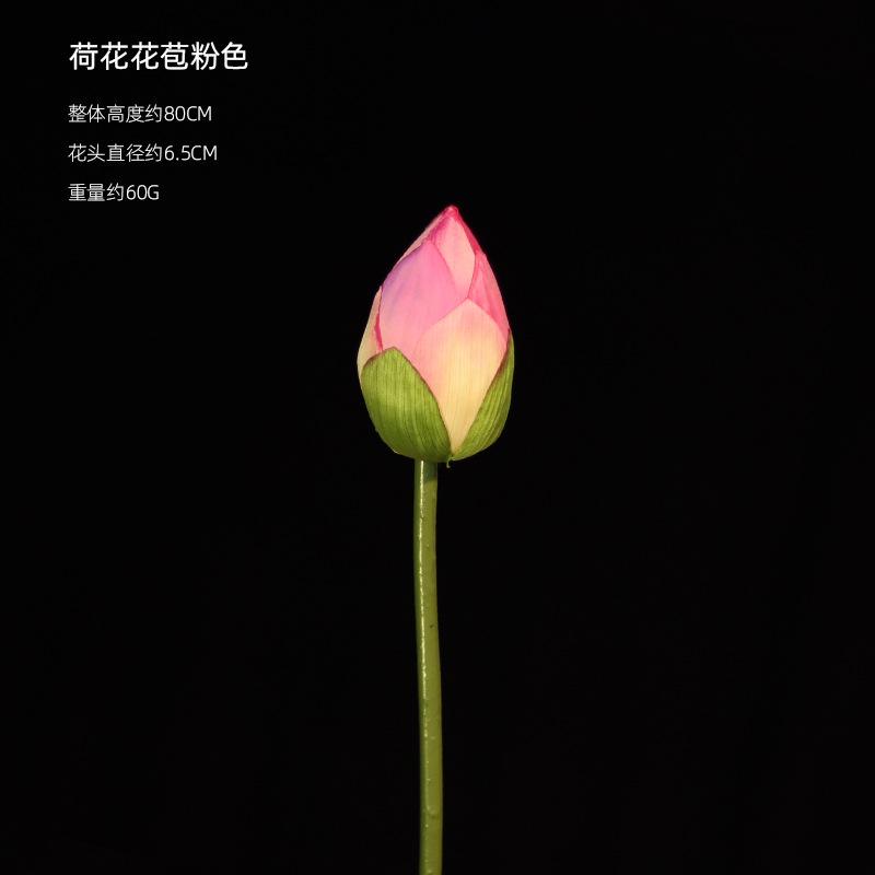 Brotes Rosa