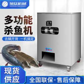 全自动杀鱼机多功能鲫鱼黑鱼鲤鱼去鳞开肚杀鱼机商用立式杀鱼神器