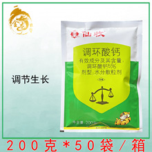 ȫ�S����5%�{�h���}��ݮ�������ӿ����Ұ��������rș���L�{����