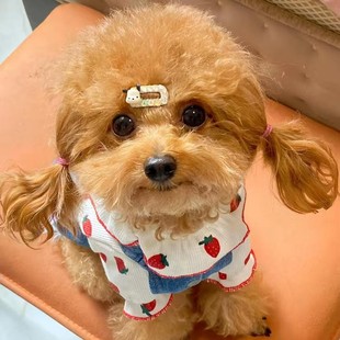 ���N̩����Ȯ���w�豭Ȯ̩��Ȯ�F�eȮ���̼��B���ﹷ��С��Ȯ̩��