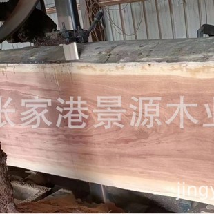 �����R�㻨�� �t̴�㻨�� �ݻ��� �������Ʒ