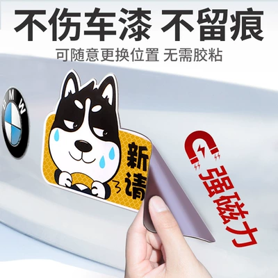 Other Automotive Exterior Supplies Female Drivers on the Road