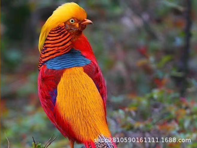 5bff7d15d6e3e228eca65cdbeda7c7