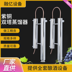 現貨ウイスキー・ブランデー蒸留設備 タワー式蒸留器 小型銅製ダブルタワー蒸留器 自家醸造用