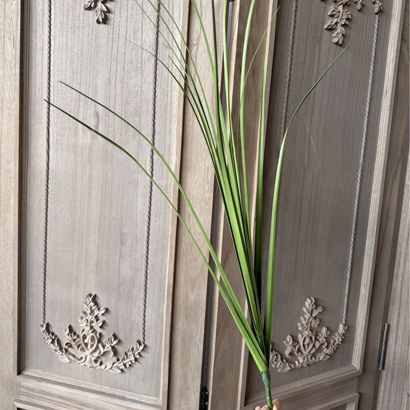 60cm 갈대풀