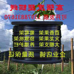 ��䓾�PET������Ĥ������֧�Ή�Ĥ�����������Ѽ��Bֳ�r�����K