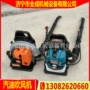 背负式便携式多功能马路灭火机