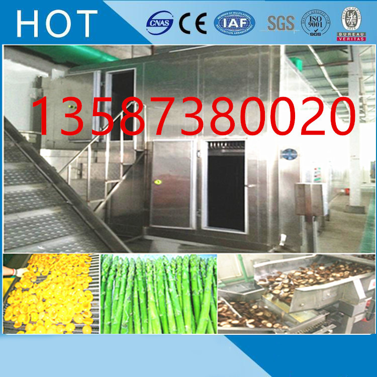 流态化速冻机玉米青豆毛豆蚕豆西兰花草莓四季豆青刀豆单体速冻机