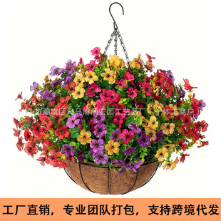 �羳����������滨7���ȼ������_�m�Ҿ��b��@�������ϰ���