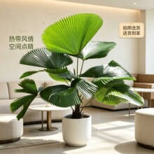 ϲꎺ����F�Gֲ�k���������B��A�~�S�ؙ��Ϙ��W�t���~��ֲ��