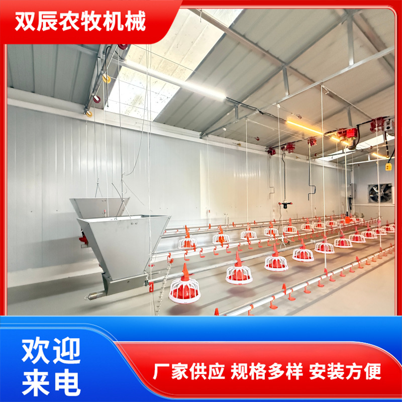 鸡舍升降水线料线 安装简便可按需搭配蛋鸡自动化喂水喂料设备