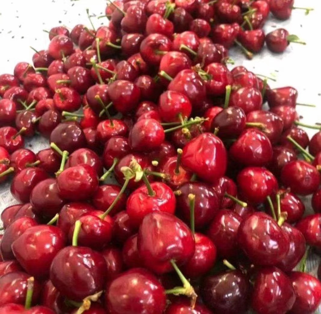 b14a5031a43632e9f9357f05d01089