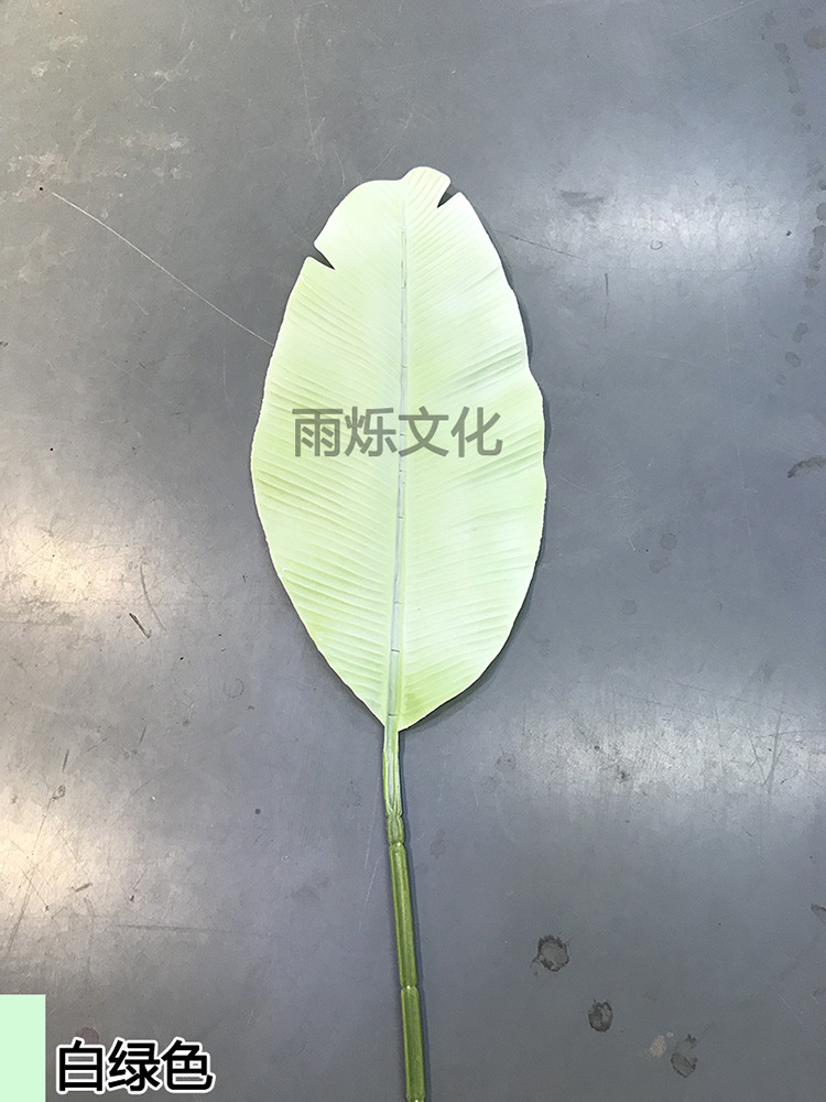 白绿色.jpg
