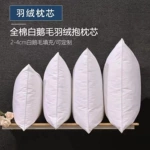 白鹅羽毛填充抱枕芯羽绒抱枕芯沙发羽绒床头靠垫民宿枕芯45x45cm