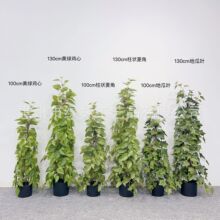 �����������z�~�ڒ������b�ֲ���u���ٗl���ع��~�����҃���[��