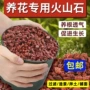 天然生态红色水池火山石