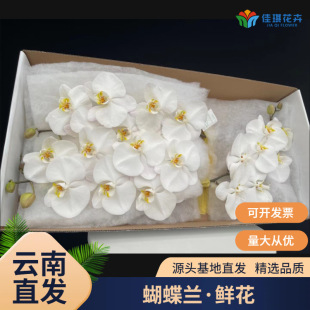 ��ɫ�����m�r�����l����ֱ���m����c�Ƶ��b���V3���A���л�