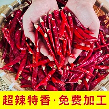 ���������³��콷�������ж�ĥ�����l�ɼt�������������G�tħ����