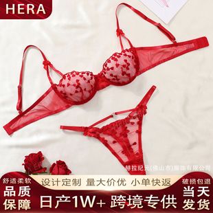 HERA�羳�tɫ���Ĵ̽��������������Ը�͸ҕ�W�����Ȧ��Ȥ���¶�