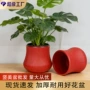 吉利客厅桌面新年花盆