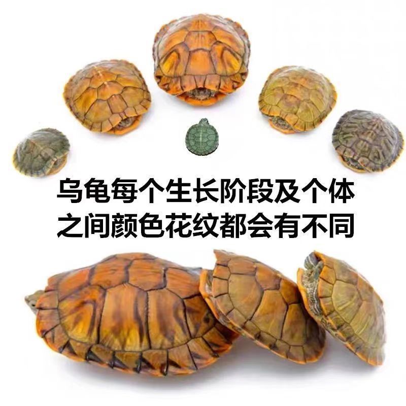 cc7fba1d-98cf-4713-a988-77b04c9bce3e.jpe