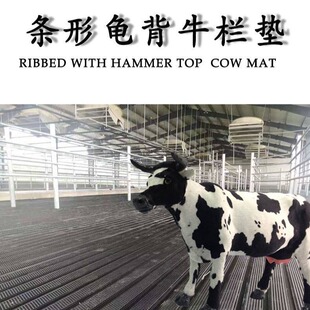 Cattle shed thermal insulation animal husbandry rubber mat non-slip waterproof moisture-proof wear-resistant animal husbandry mat multi-size strip turtle back fence mat