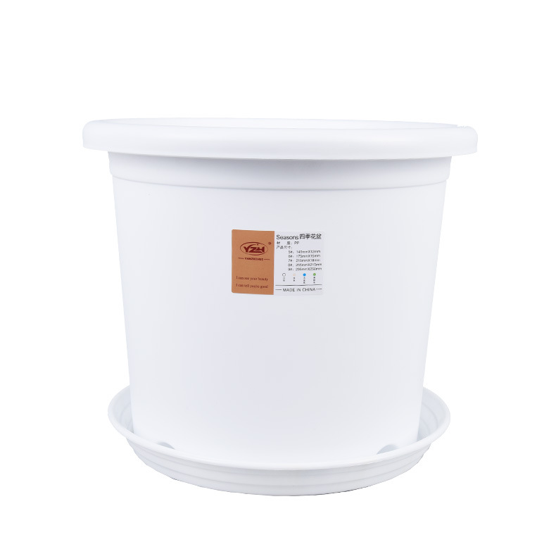 Porcelain white [new] tray