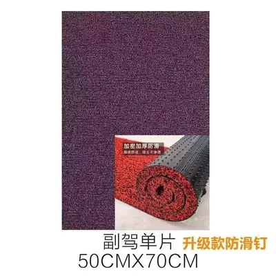 Car Carpet – anti-slip mats - 20-thickened-black-and-purple-passenger-seat-5070