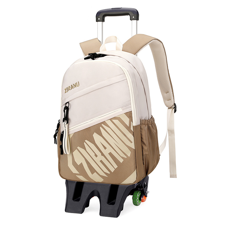 Mochila de pescado natural para niños de grado 3 - 6 con ruedas para subir escaleras, mochila de secundaria secundaria