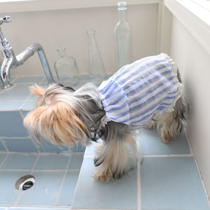 Cotton Soft Blue and White Striped Lace Sling Shirt Cat Bixu Yorkshire Dog Pet Clothes