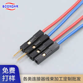 定制1P杜邦线LED公母单双头延长线2.54间距40P彩排端子线束加工厂