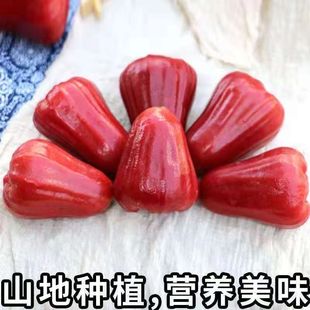 ���Ϻڽ���ɏ�F5��Ꭷɏ�F�����rˮ����Ů��1��-3��һ���������]