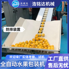 全自動オレンジレモン包装機オレンジ臍オレンジ自動袋包装機柑橘果物包装機