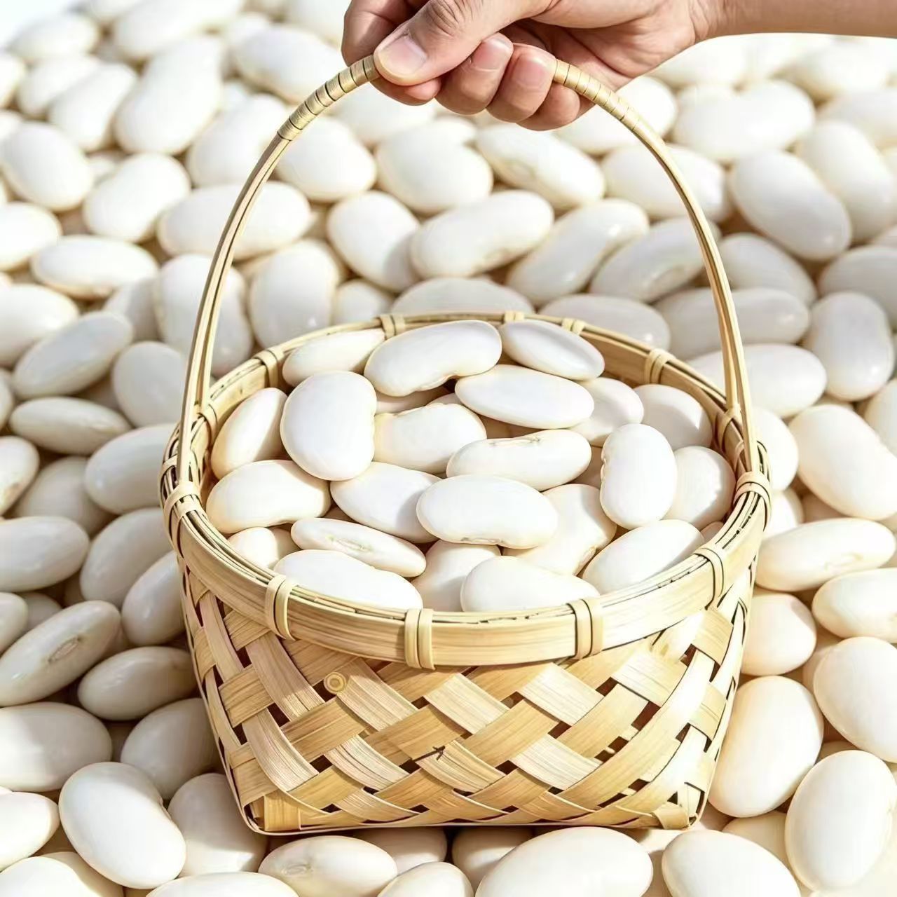 White Kidney Beans Bai Yun Dou 500g Dried White Beans Yunnan Natural Sun Dried Culinary Grain specifications