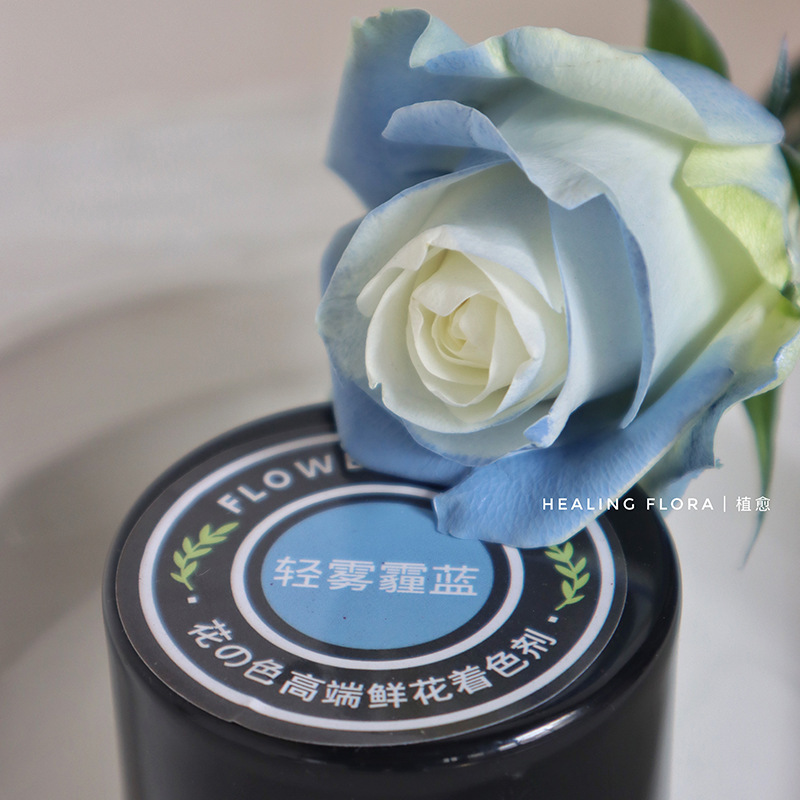 450ml agente de color de aerosol de flores al por mayor pintura en aerosol de secado rápido agente de teñido de rosas de color aerosol de color perlado floristería