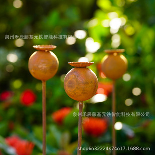 �羳���R�d���N�X�P����ֲ�����������b���@��ͥԺ��ǰ�T�b�