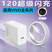 �m��VIVOX100S������^120W���VIVO X90/X80Pro�֙C����^IQOO13