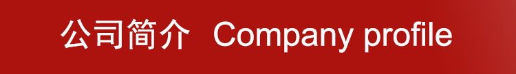 公司简介-蓝底白字-banner.jpg