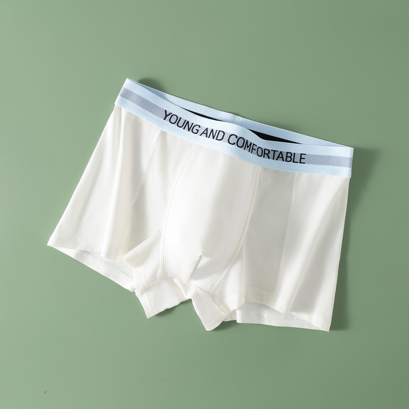 Algodón modal ropa interior de los hombres verano malla delgada transpirable Boxer shorts jóvenes Boxer shorts ropa interior