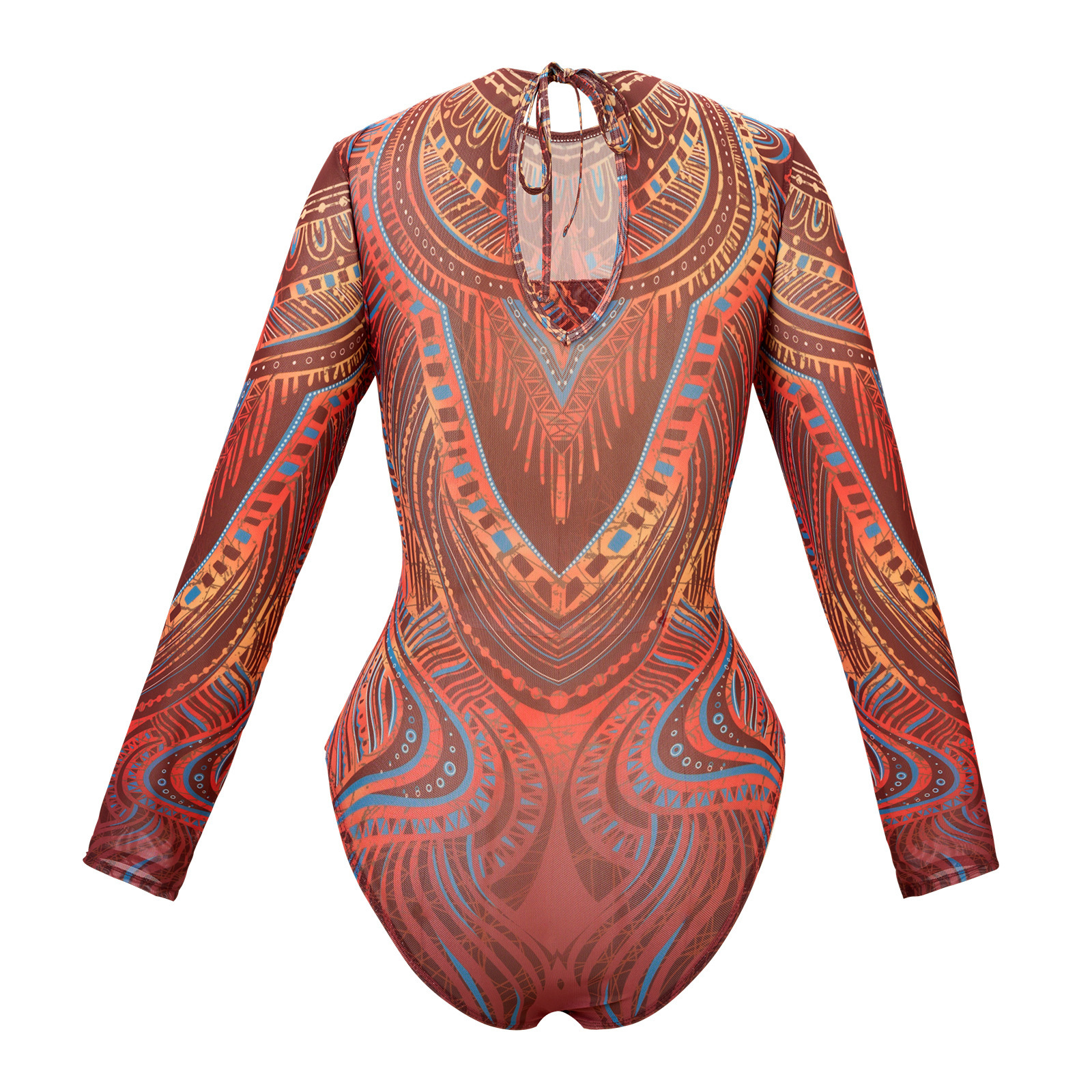 Women's Retro Mesh Long-sleeve One-piece Swimsuit For Beach And Pool_voghion.com
