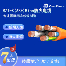 �S��ֱ�N�W�˵͟��o�u������| RZ1-K(AS+)Mica��ȼ�ͻ���|