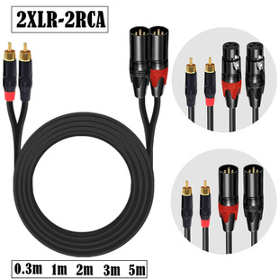 �p���rXLR�D�pɏ��RCA���w���l�B�������L����ͥӰԺ����X���