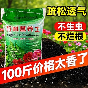 �I�B���B�������;Gֲͨ���� �����N�˼����ЙC���໨��ֲ��