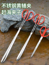 保联专业赶海装备黄鳝夹黄鳝神器泥鳅螃蟹抓鱼钳工具不锈钢垃圾夹