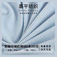 宽幅190cm280克全涤8条欧棉绒专供复合毛绒服装玩具沙发现货直发