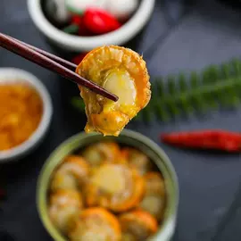 鸡肉零食;水产罐头;鱼类零食