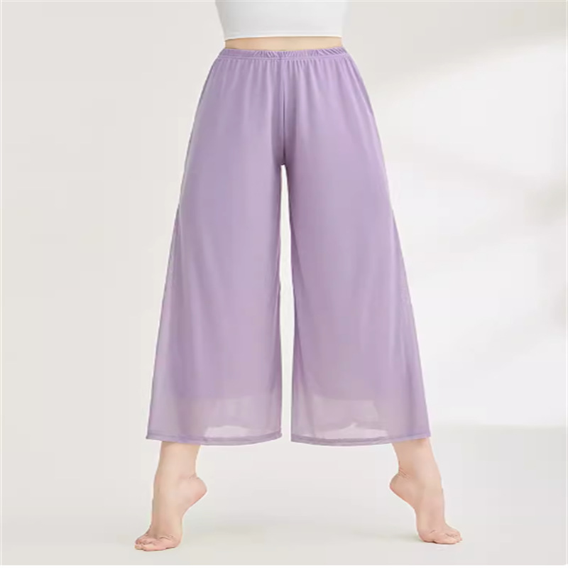 古典舞蹈裤练功服阔腿裤飘逸仙气双层网纱料现代中国民族舞裤